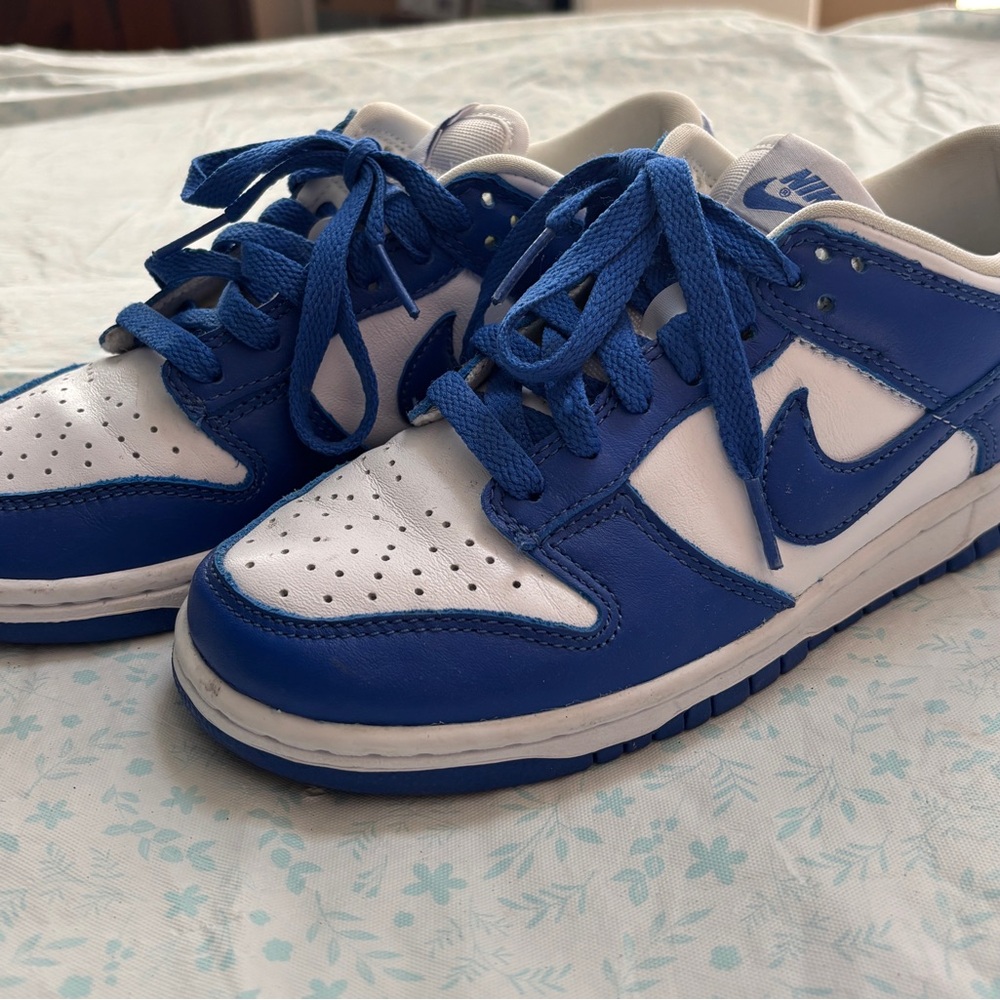 Nike Dunks Blue and White